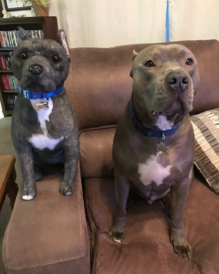custom dog stuffed animals